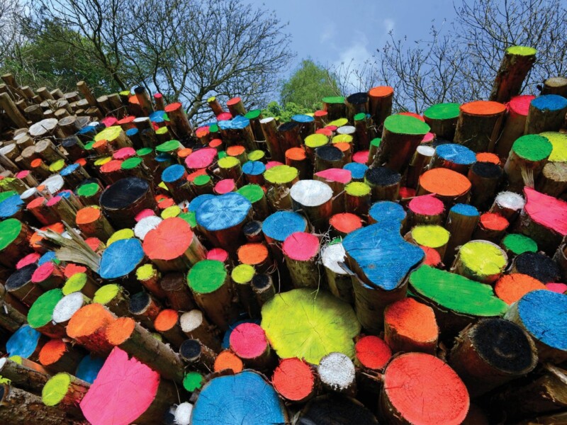 Tree Marking Paint