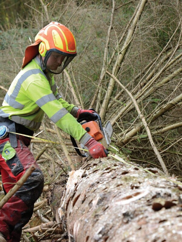 Forestry Logging Products For Sale | Clark Engineering