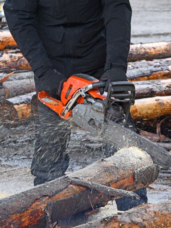 Chainsaw Chain